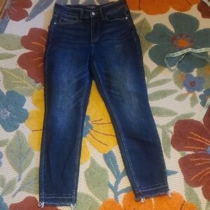 Classic Blue Skinny Jeans By Judy Blue